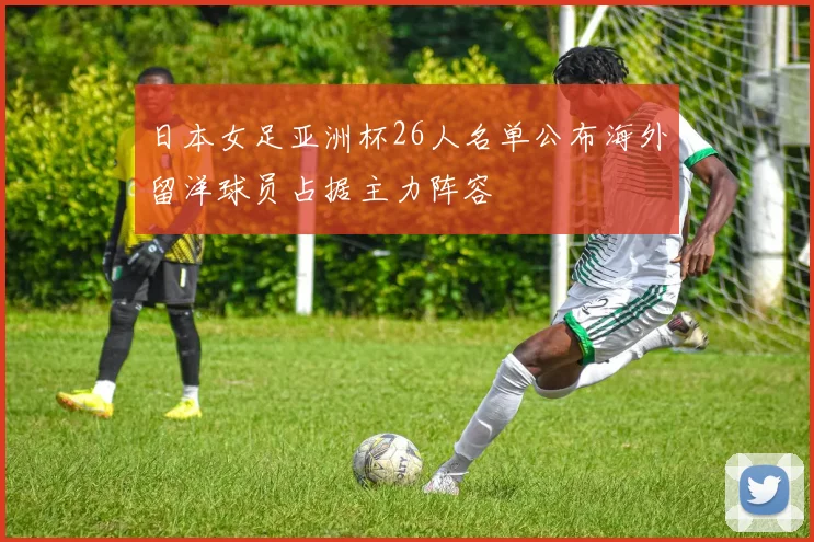 日本女足亚洲杯26人名单公布海外留洋球员占据主力阵容